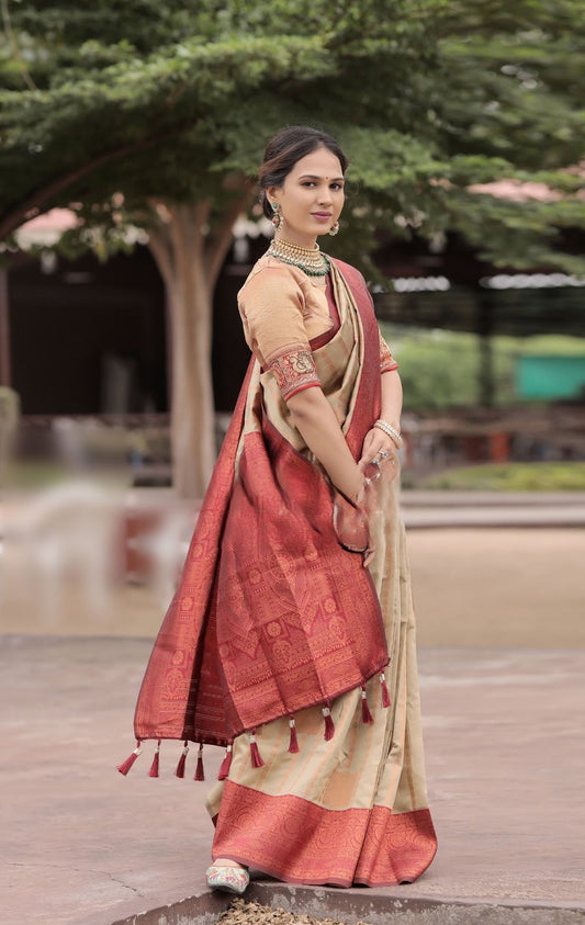 Gray Kanji Varam Sarees